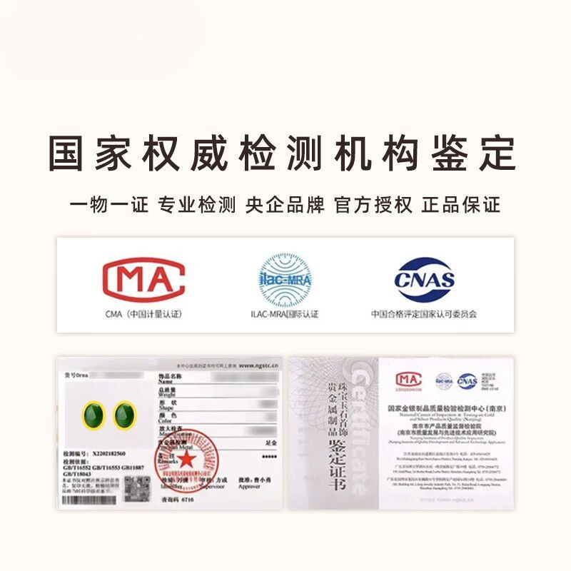 Aurakin gold gold inlaid jade gold stud earrings women's foot gold Hetian jade jasper mother earrings gift for mother - AuraKin