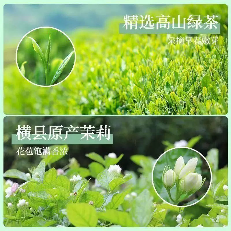 AuraKin Jasmine Tea